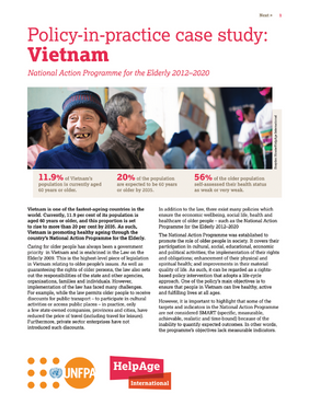 Vietnam: Policy-in-practice case study