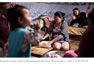 What Mongolia learned from its first gender-based violence survey / devex
