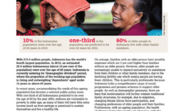 Indonesia: Policy-in-practice case study