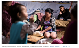 What Mongolia learned from its first gender-based violence survey / devex