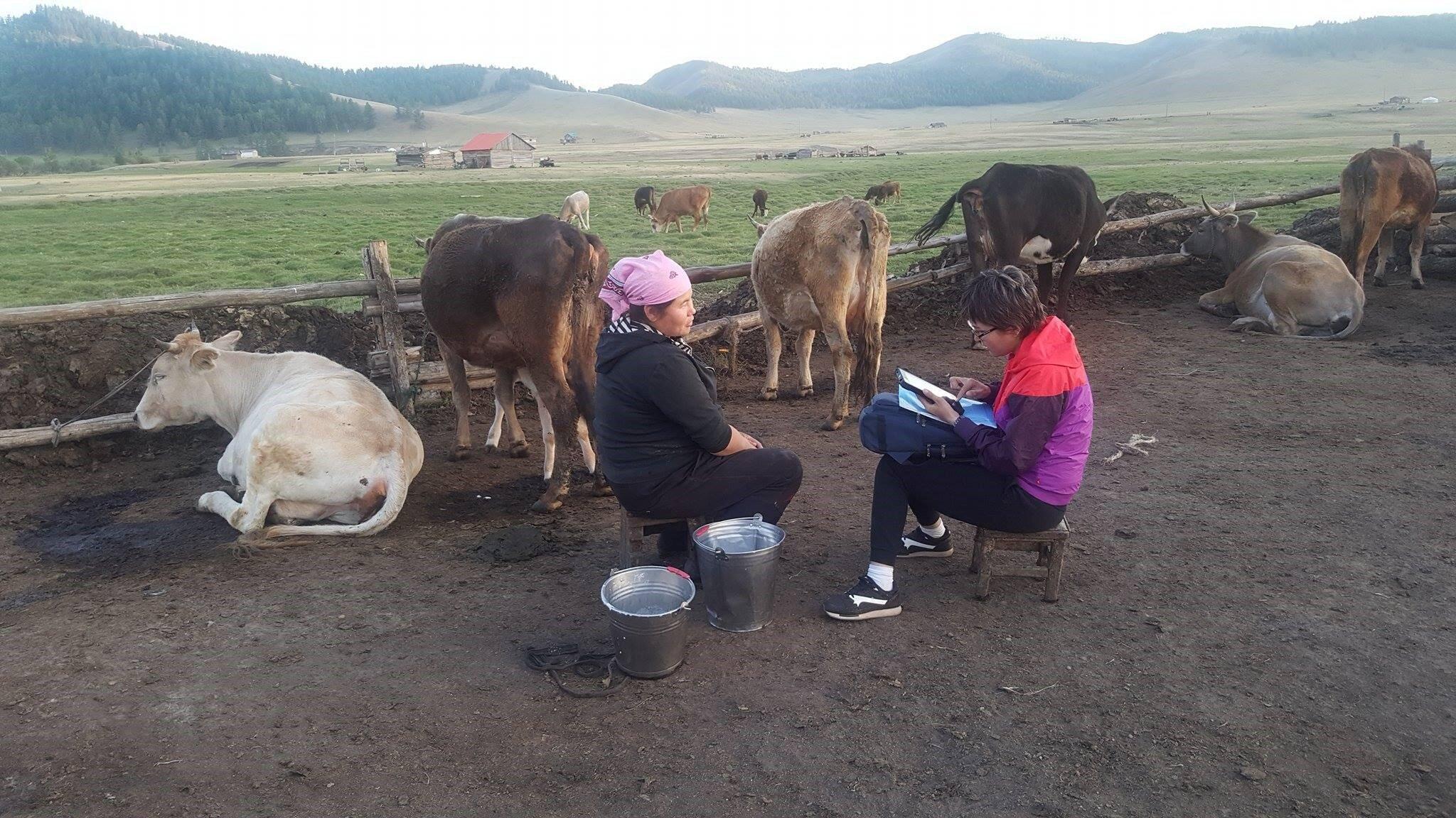 Photo of violence against women field interview in Mongolia