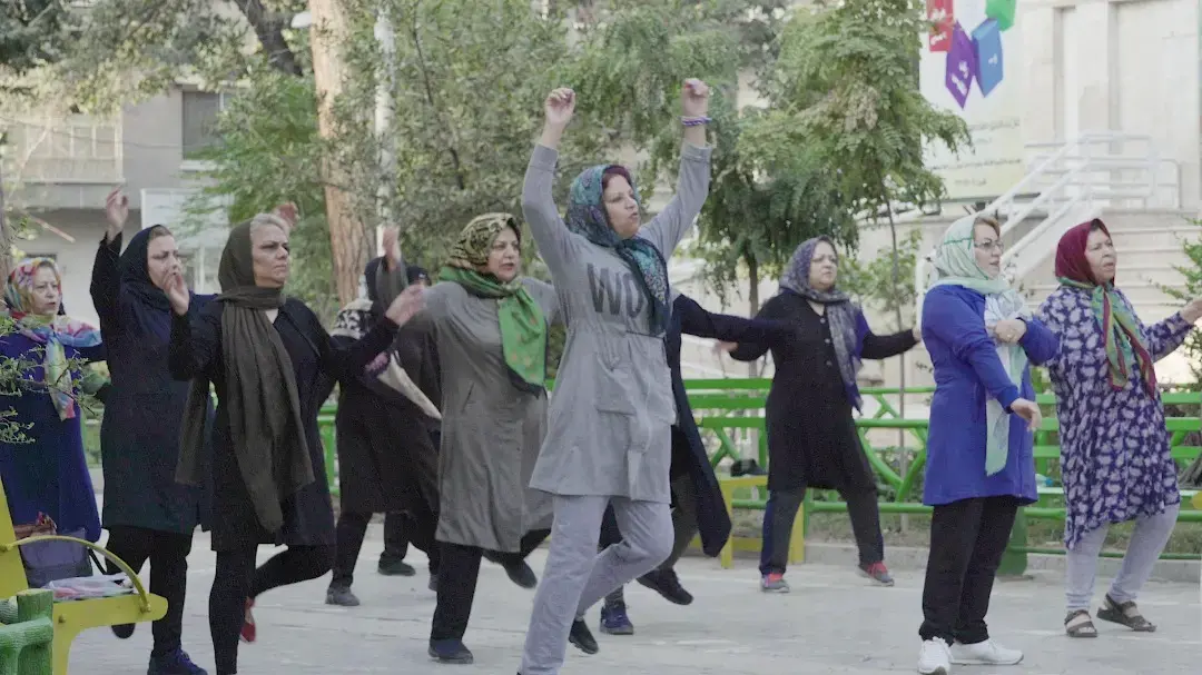 Progress and Challenges in Addressing Iran's Ageing Population 