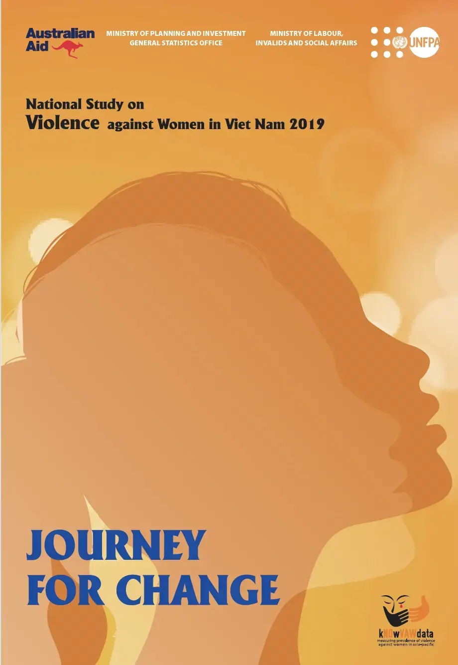 National Study on Violence Against Women in Viet Nam (2019)