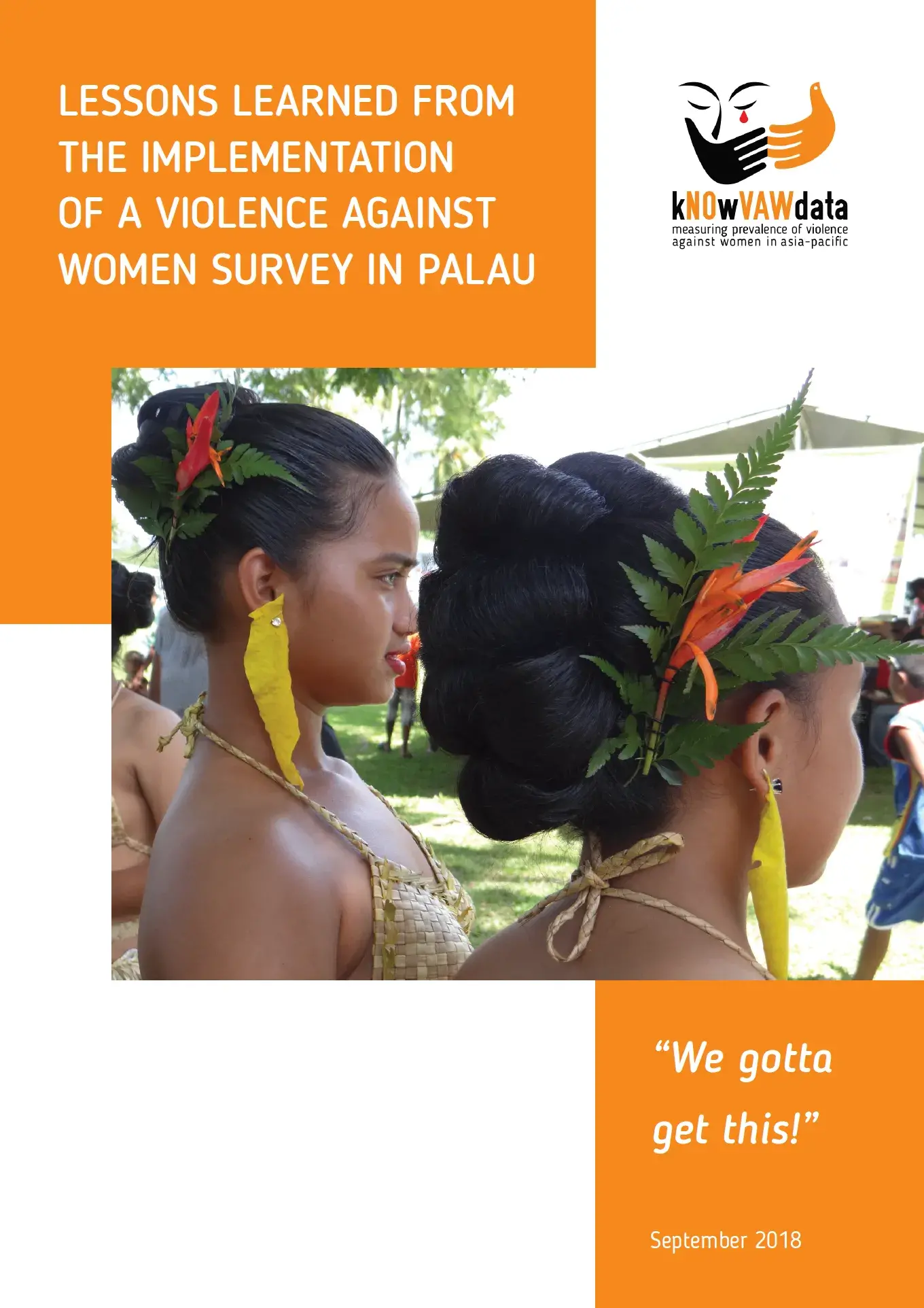 Lessons learned from the implementation of a violence against women survey in Palau: "We gotta get this!"