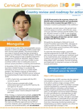 Mongolia: Cervical Cancer Elimination - Country Review & Roadmap for Action