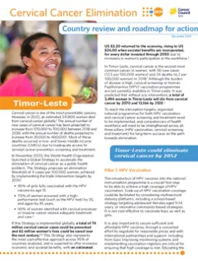 Timor-Leste: Cervical Cancer Elimination - Country Review & Roadmap for Action