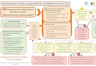 Decision tree: Data Collection on Violence against Women and COVID-19