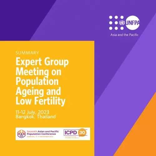 Summary Report: Expert Group Meeting on Population Ageing and Low Fertility (11-12 July 2023)